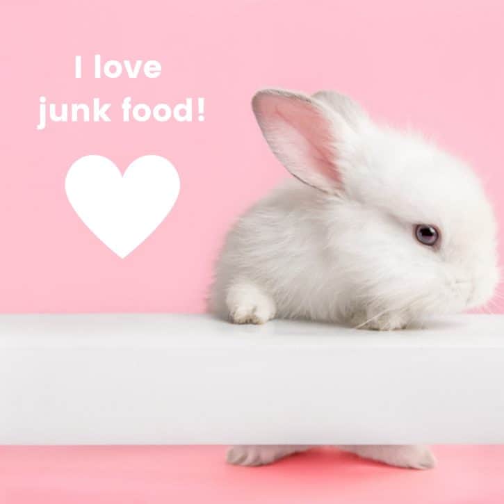 White Rabbit With Heart